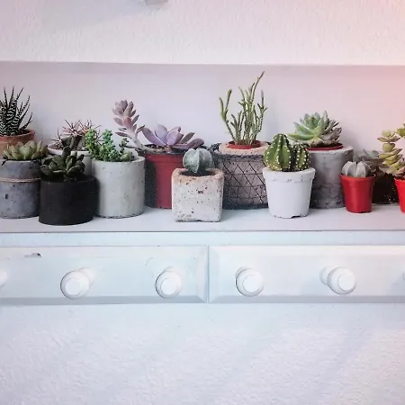 Edificio Apolo 7 Appartement Calpe